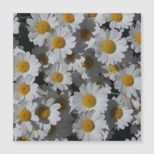 White Daisies Magnetic Card