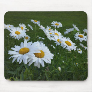 white daisies mouse mat