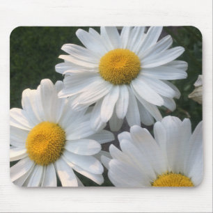 White Daisies Mouse Mat