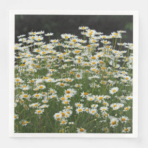 White Daisies Napkins