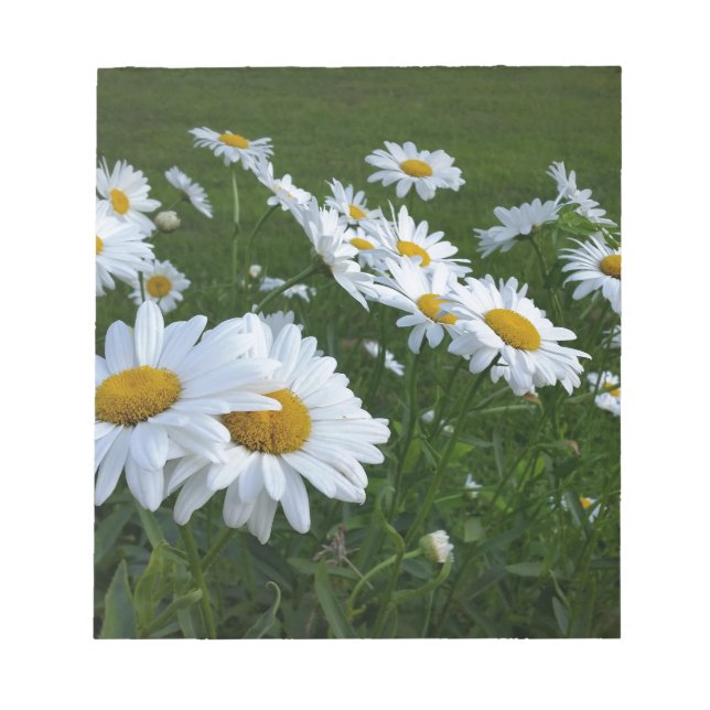 white daisies notepad (Front)