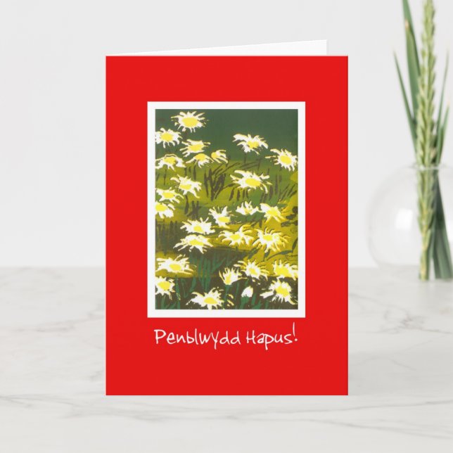 White Daisies on Red Birthday Card: Welsh Greeting Card (Front)