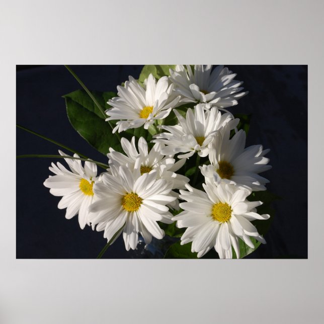 White Daisies Poster (Front)