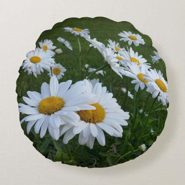 white daisies round cushion (Front)