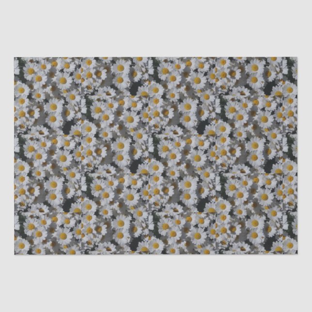 White Daisies  Tissue Paper (Front)