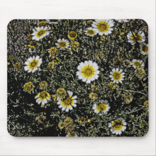 WHITE DAISIES, YELLOW CENTER/DIGITAL EFFECTS/PHOTO MOUSE MAT