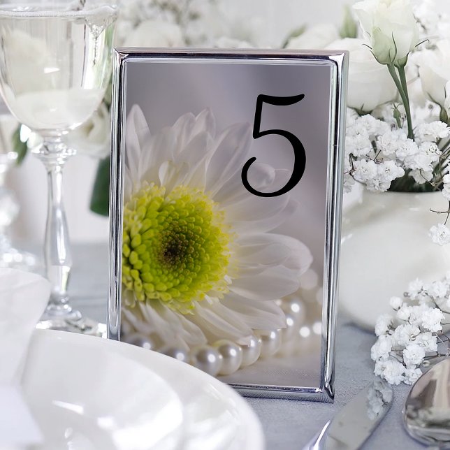 White Daisy and Pearls Wedding Table Numbers (Creator Uploaded)