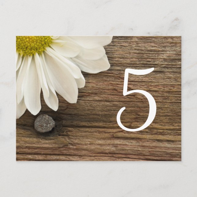 White Daisy Barn Wood Country Wedding Table Number Postcard (Front)