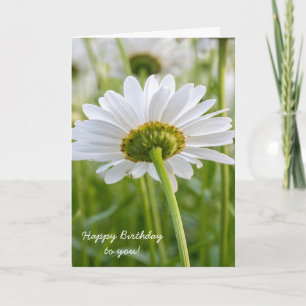 white daisy-birthday card