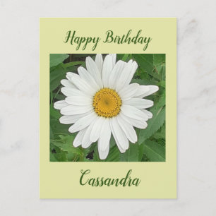 White Daisy Birthday Postcard
