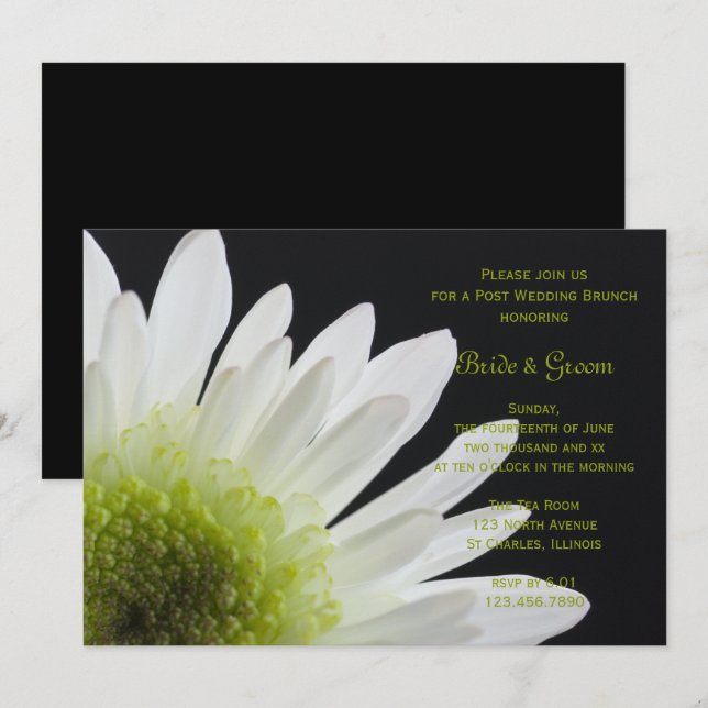 White Daisy Black Post Wedding Brunch Invitation (Front/Back)