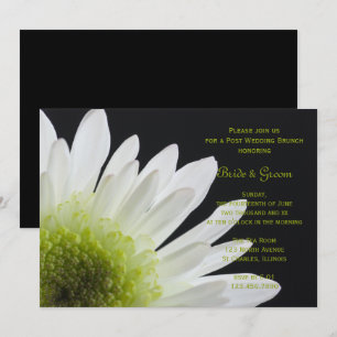 White Daisy Black Post Wedding Brunch Invitation