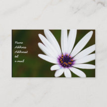 White Daisy business cards