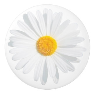 white daisy ceramic knob