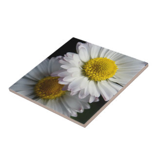 White Daisy Ceramic Tile