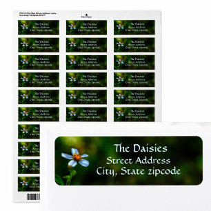 White Daisy Dark Green Floral