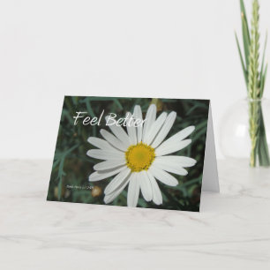 White Daisy - Feel Better - Customisable Card