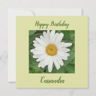 White Daisy Flat Birthday Card