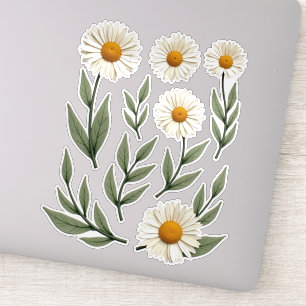 White Daisy Floral Design