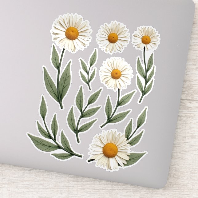 White Daisy Floral Design (Detail)