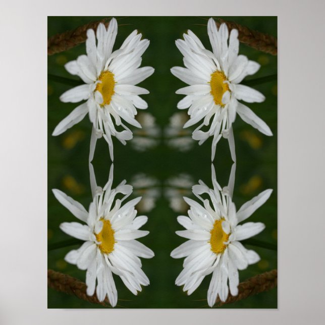 White Daisy Flower Abstract  Poster (Front)