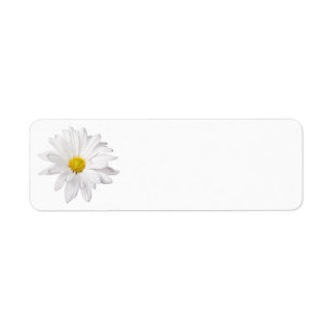 White Daisy Flower Background Customised Daisies