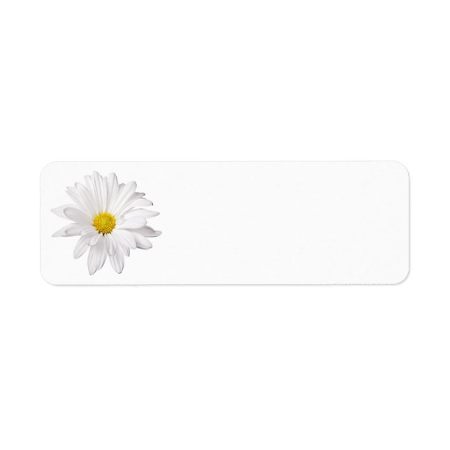 White Daisy Flower Background Customised Daisies (Front)