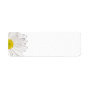 White Daisy Flower Background Customised Daisies