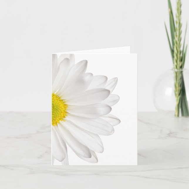 White Daisy Flower Background Customised Daisies Card (Front)