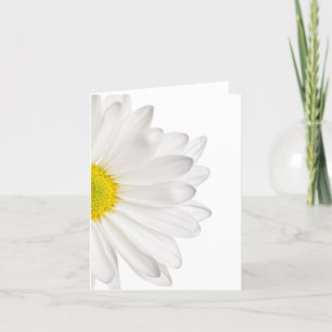 White Daisy Flower Background Customised Daisies Card
