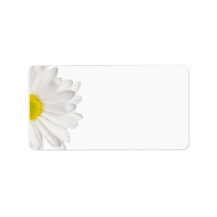 White Daisy Flower Background Customised Daisies Label