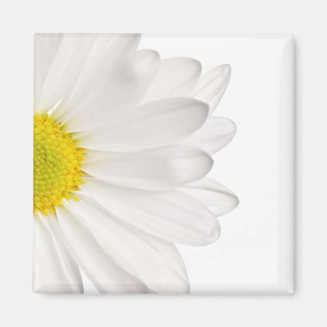 White Daisy Flower Background Customised Daisies Magnet (Front)