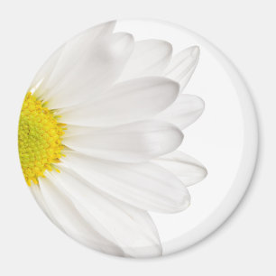 White Daisy Flower Background Customised Daisies Magnet