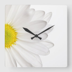 White Daisy Flower Background Customised Daisies Square Wall Clock