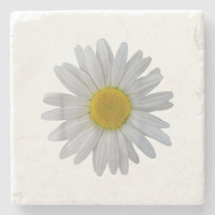White daisy flower, blooming daisy, blooms, flower stone coaster