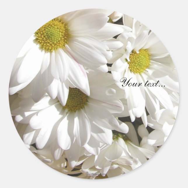 White Daisy Flower Custom Envelope Seals (Front)