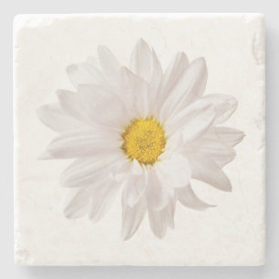 White Daisy Flower Design Floral Daisies Template Stone Coaster