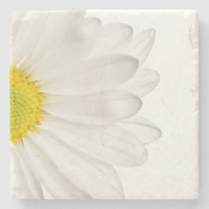White Daisy Flower Floral Daisies Flowers Stone Coaster