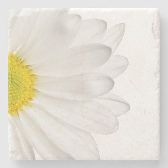 White Daisy Flower Floral Daisies Flowers Stone Coaster (Front)