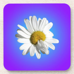 White Daisy Flower Floral Purple Blue Gradient Coaster