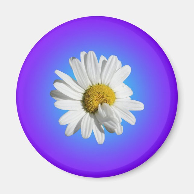 White Daisy Flower Floral Purple Blue Gradient Magnet (Front)