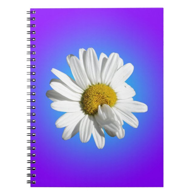 White Daisy Flower Floral Purple Blue Gradient Notebook (Front)