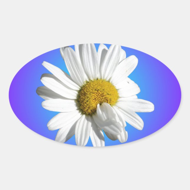 White Daisy Flower Floral Purple Blue Gradient Oval Sticker (Front)