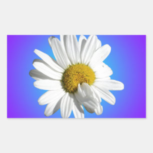 White Daisy Flower Floral Purple Blue Gradient Rectangular Sticker