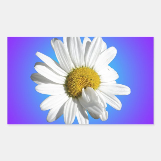 White Daisy Flower Floral Purple Blue Gradient Rectangular Sticker (Front)
