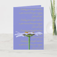 White Daisy Flower Lavender Blue Yellow Get Well