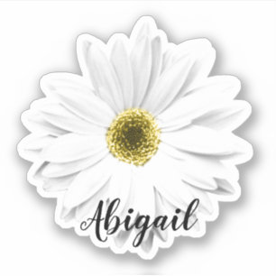 White Daisy Flower Name