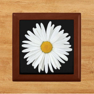 White Daisy Flower on Black Floral Gift Box