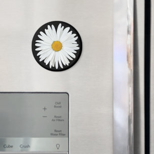 White Daisy Flower on Black Floral Magnet