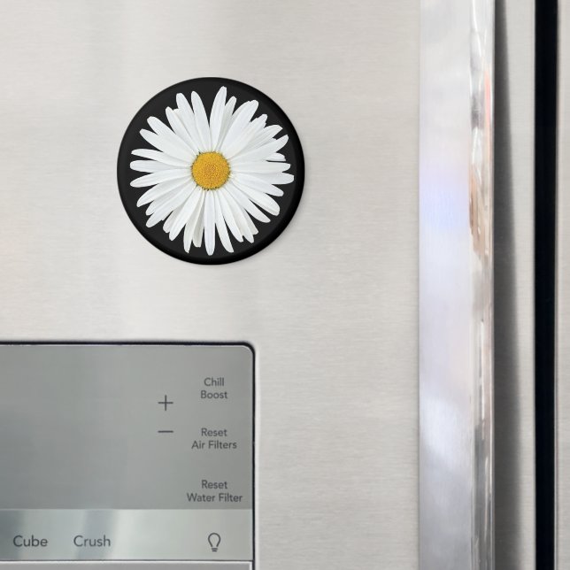 White Daisy Flower on Black Floral Magnet (In Situ (Fridge))